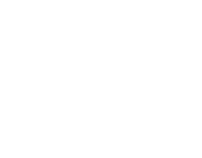 icono 1